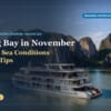 Hermes Premium Cruises sailing across calm emerald water in Halong Bay in November